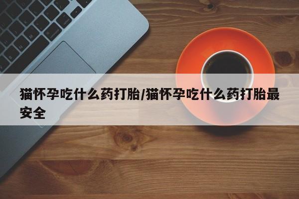 流产药购买联系猫怀孕吃什么药打胎/猫怀孕吃什么药打胎最安全